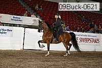09buck-0621 proof
