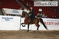 09buck-0622 proof