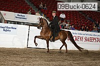 09buck-0624 proof