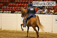 09buck-0625 proof