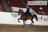 09buck-0626 proof