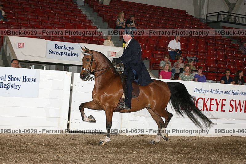 Proof 09buck-0629
