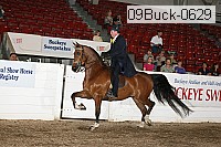 09buck-0629 proof