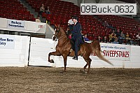 09buck-0632 proof