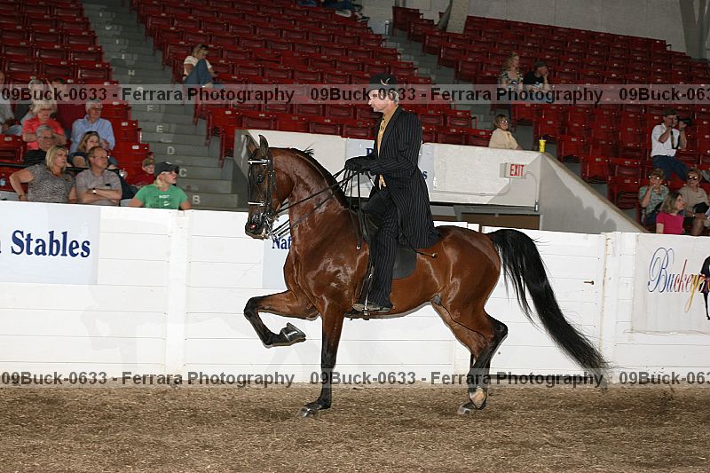 Proof 09buck-0633