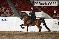 09buck-0633 proof