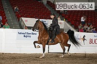 09buck-0634 proof