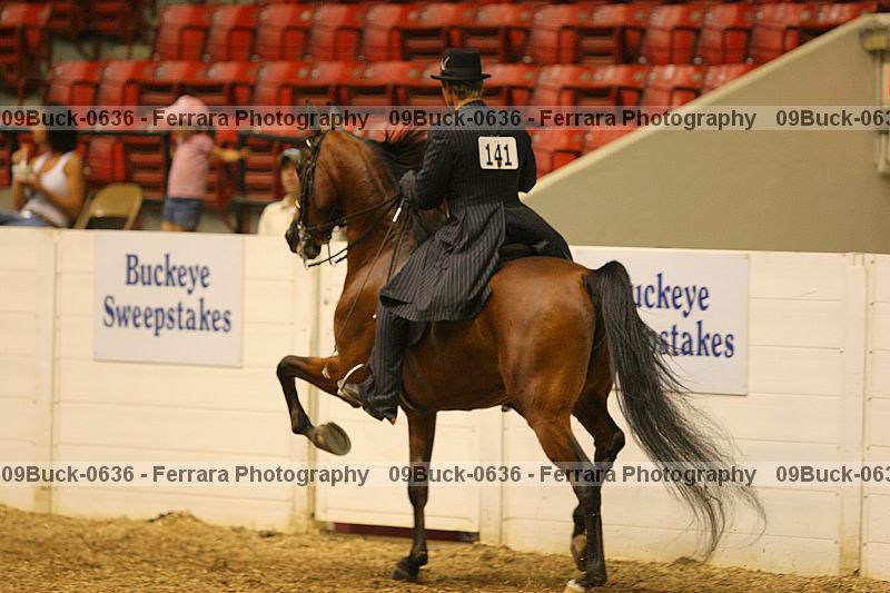 Proof 09buck-0636