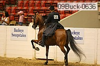 09buck-0636 proof