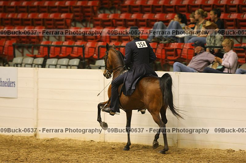 Proof 09buck-0637