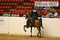 09buck-0637 proof