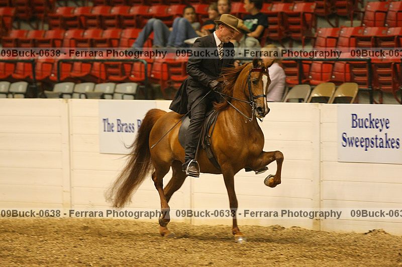Proof 09buck-0638