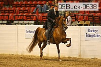 09buck-0638 proof