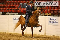 09buck-0640 proof