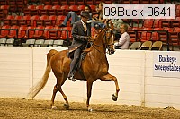 09buck-0641 proof