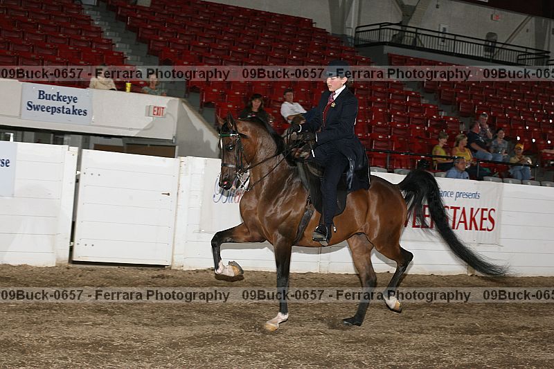Proof 09buck-0657