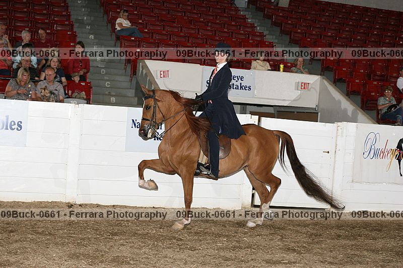 Proof 09buck-0661