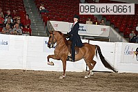 09buck-0661 proof