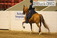 09buck-0662 proof