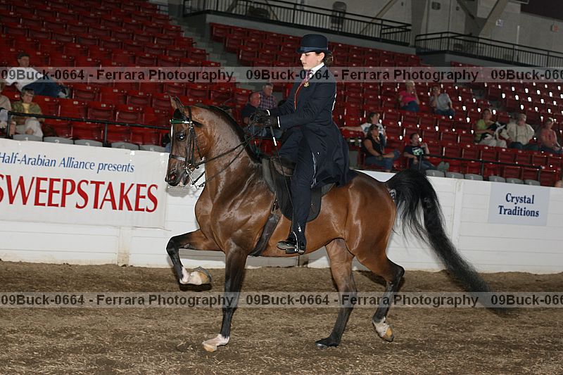 Proof 09buck-0664