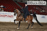09buck-0664 proof