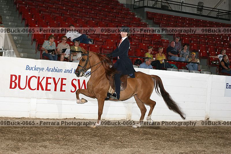 Proof 09buck-0665