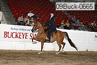 09buck-0665 proof