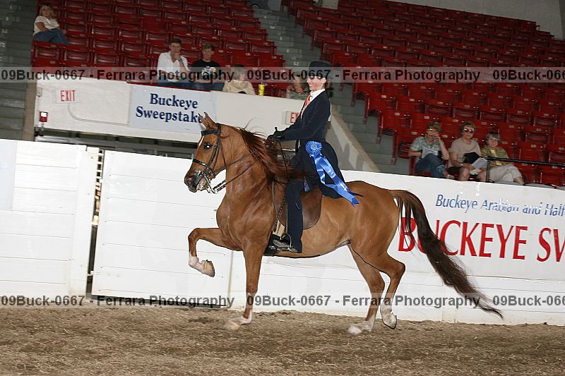 Proof 09buck-0667