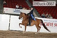 09buck-0667 proof