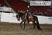 09buck-0671 proof