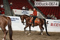09buck-0674 proof
