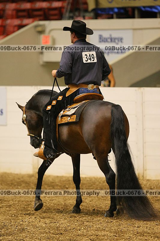Proof 09buck-0676