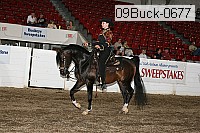 09buck-0677 proof