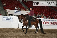 09buck-0679 proof