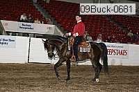 09buck-0681 proof