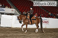 09buck-0685 proof