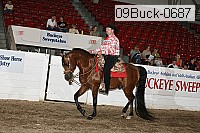 09buck-0687 proof