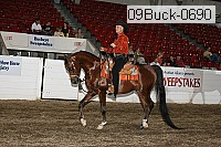 09buck-0690 proof