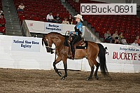 09buck-0691 proof