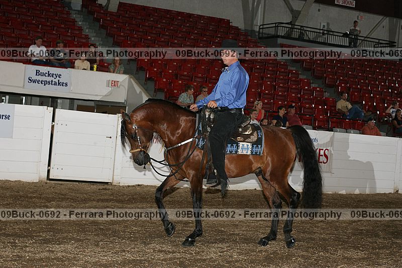 Proof 09buck-0692