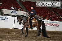 09buck-0694 proof