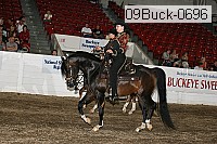 09buck-0696 proof