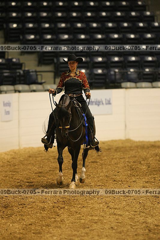 Proof 09buck-0705