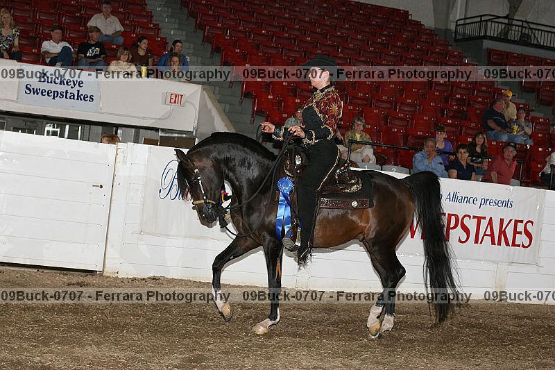 Proof 09buck-0707