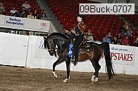09buck-0707 proof