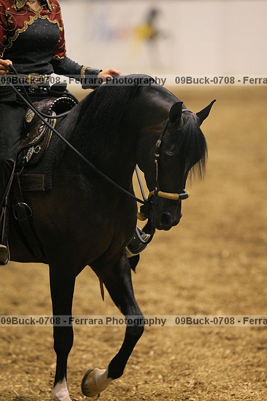 Proof 09buck-0708