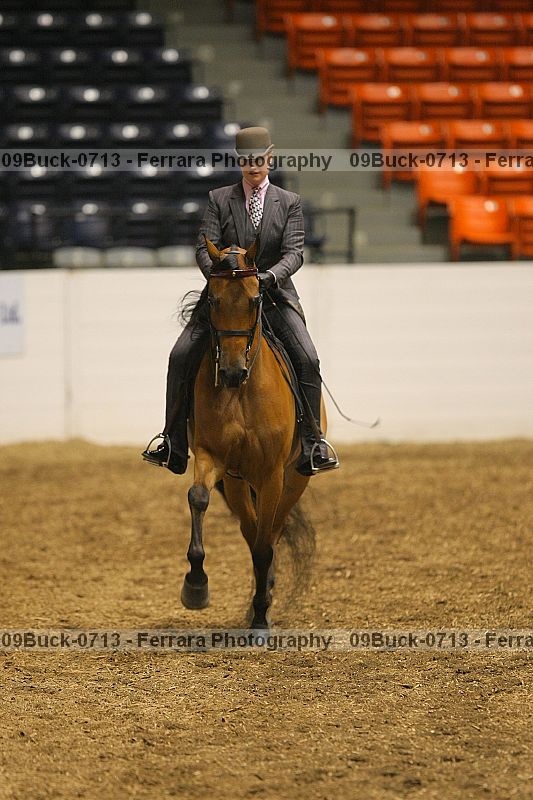Proof 09buck-0713