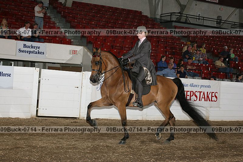 Proof 09buck-0714