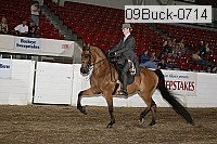 09buck-0714 proof