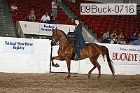 09buck-0716 proof